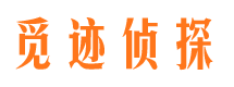 城区市调查取证